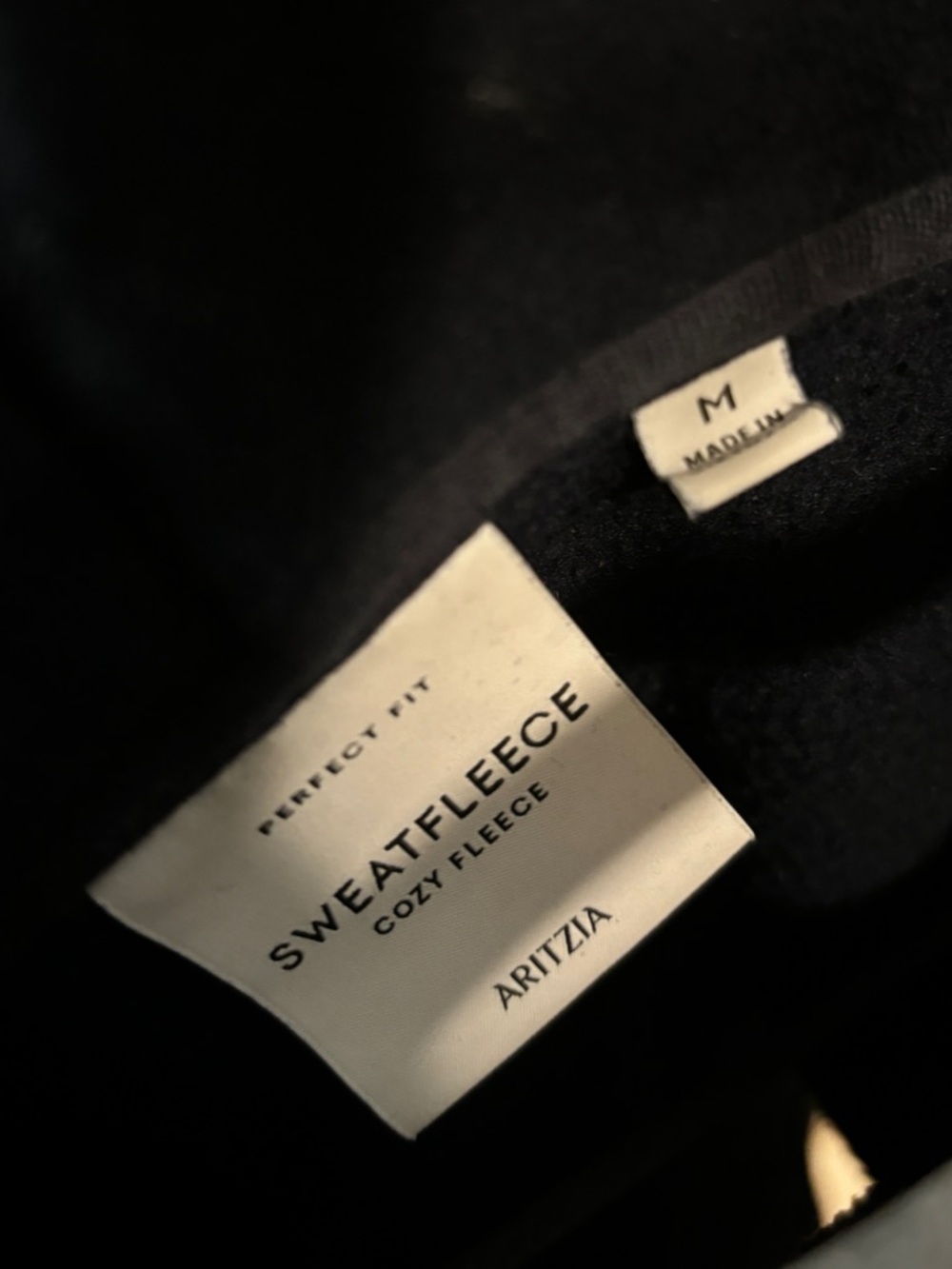Aritzia Cozy Fleece Perfect Hoodie - Picture 5 of 5